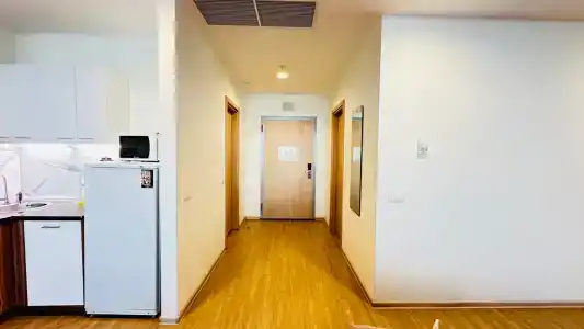 Бревис - 33