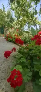 Светлана - 1