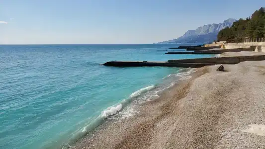 Жуковка - 222