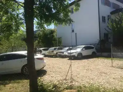 Алиса - 3