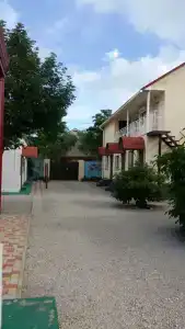 Лето - 8