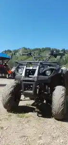 Березовый Берег - 6
