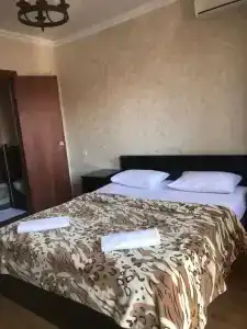 Сальма - 9