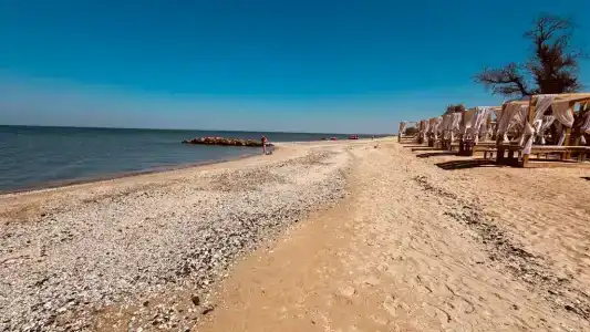 Алана - 1