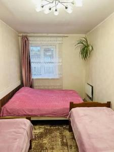 Teremok Guest House - 19