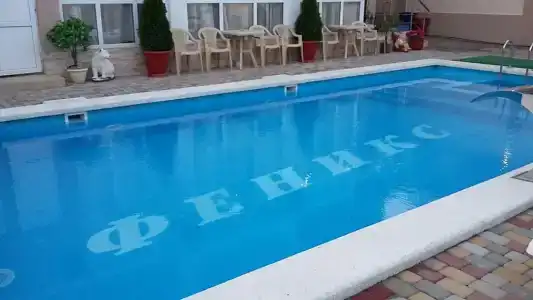 Феникс - 1