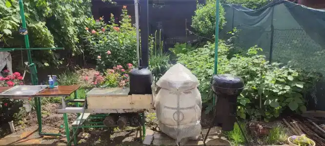 Домашний - 3