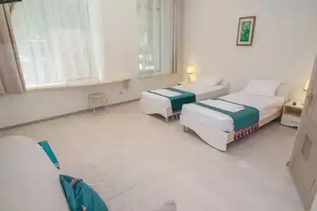 Феоника - 4