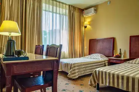 Мечта Тея - 123