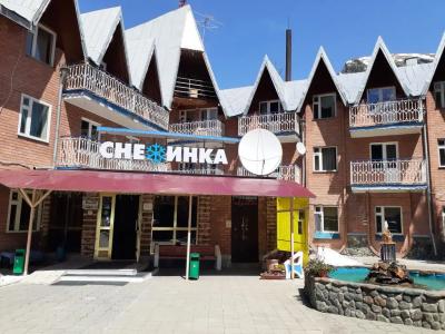 Снежинка - 1