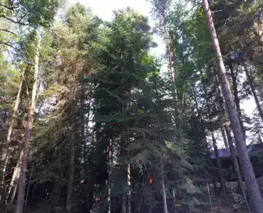 Солюр - 5