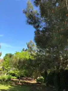 Вилла Корфу - 1