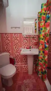 Кипарис - 15