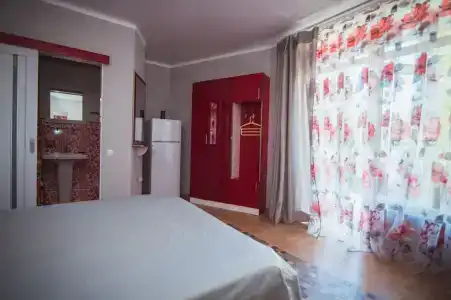 Кипарис - 12