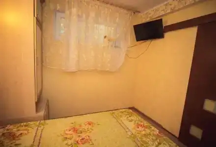 Кипарис - 23