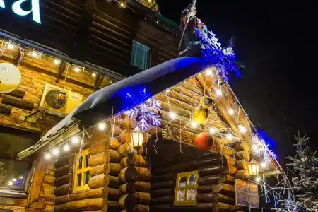 Лесная Сказка - 5