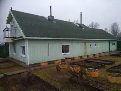 Сенполия - 31