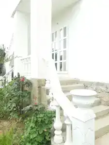 Белый - 46