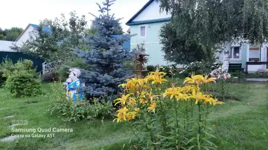 Гостевой дом на Новой 45А-1 - 1