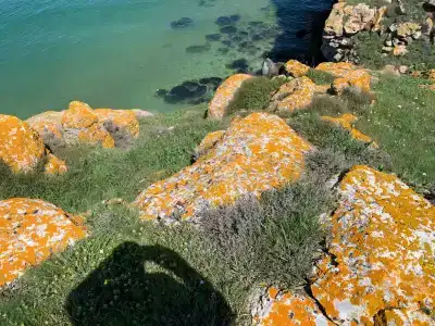 Самолёт - 3