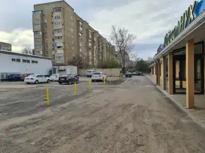 Подсолнух - 4
