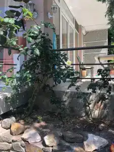 Владислава - 172