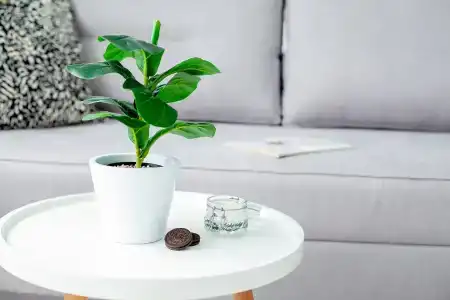 NINA в скандинавском стиле - 13