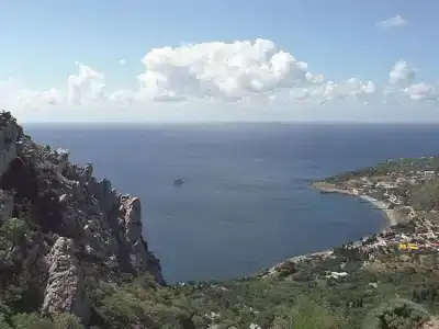 Гнездо - 36
