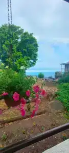 Владислава - 184