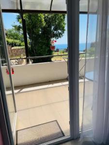 Владислава - 204