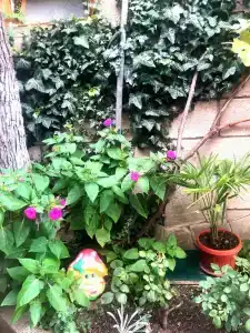 Уютный дворик - 11