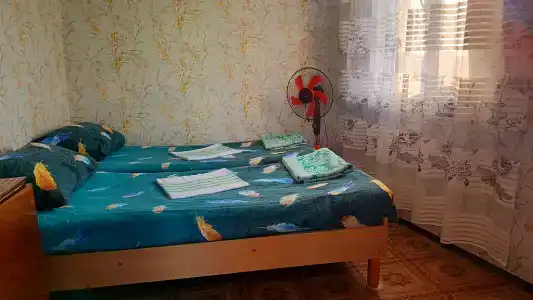 Зерновский - 172