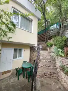 Сливовый - 0