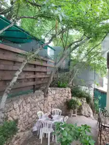 Сливовый - 1