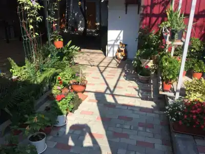 Дом на Цимлянской 7 - 2