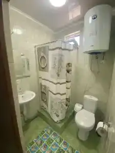 Инжир - 30