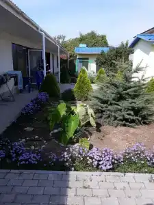 Семейный - 15