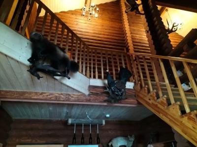 Мышкин двор Барабановъ - 13