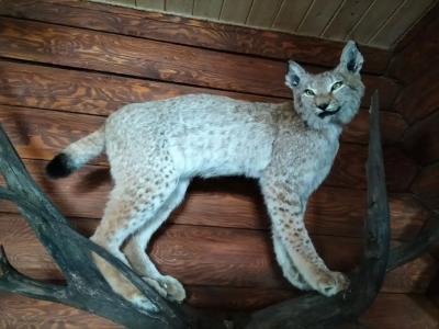 Мышкин двор Барабановъ - 18