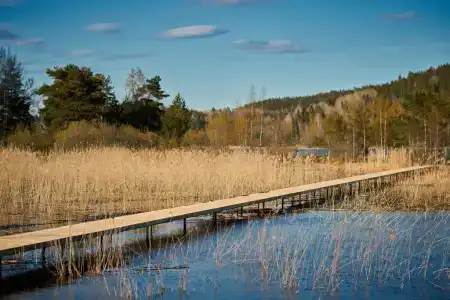 Карелия Парк - 23