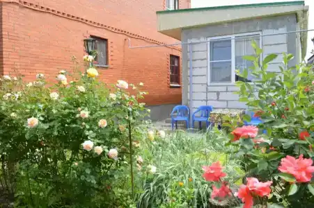 Родничок - 2