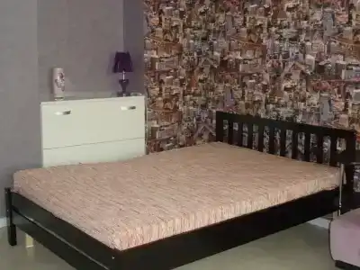Современная квартира в старинном доме - 0