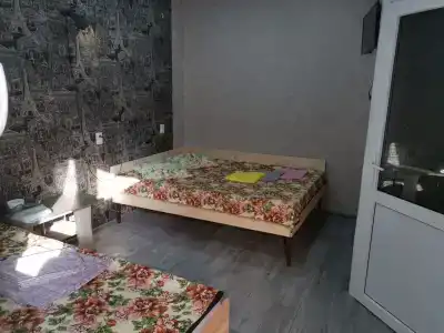 Звёздный - 1