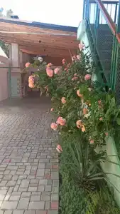на Морской 15 - 1