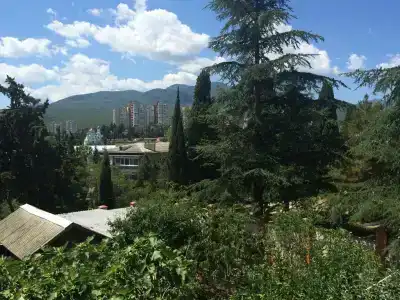 АльтАлушта - 40