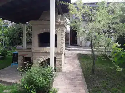 Глициния - 1