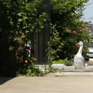 Гусь Хаус - 1