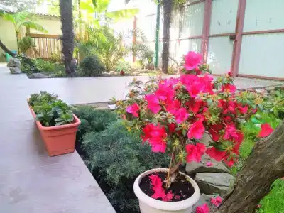 Вилла Остров Сочи - 3