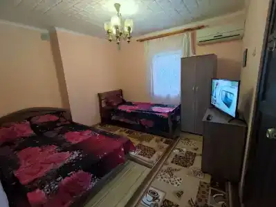 Надежда - 29