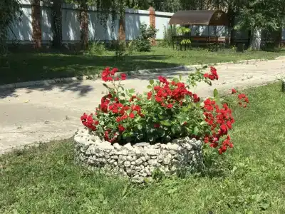 Баргузин - 17